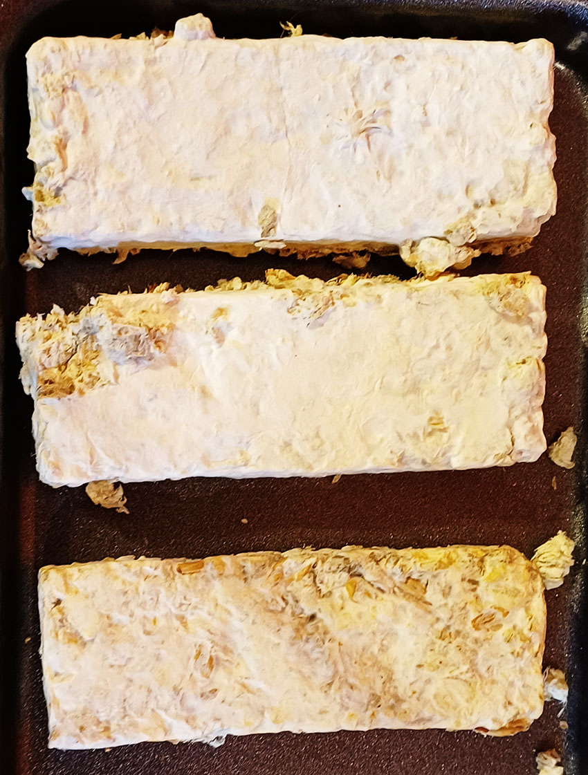 3 Mycomaterial bricks sat on a tiny oven tray